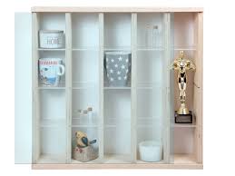 Maybe you would like to learn more about one of these? V58 Wall Showcase Cabinet Box 20 86 X 20 47 X 4 33 53 X 52 X11 Cm Display Case With A Clear Plexiglas Sliding Pane 8 Compartments Compartment Height 1 96 5 5 Cm Shelf Depth