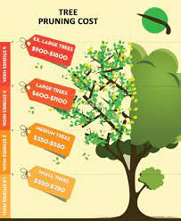 Tree Pruning Cost Guide 2021 Compare Prices How To Save 43 Tree Pruning Garden Services Tree Removal