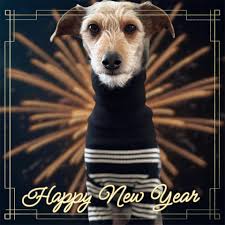 Pootalian breeders in Australia