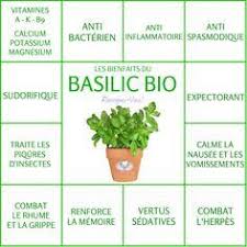 Les Bienfaits Du Basilic Le Basilic Le Monde S Eveille Grace A Nous Tous Remedes Naturels Nutrition Sportive Sante Nutrition