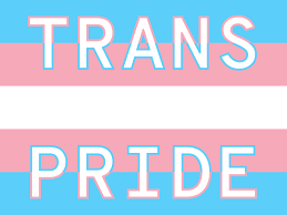 In honor of pride month and all it stands for, we've come up with a 2021 gift guide for a happy pride month that rejoices the lgbtqia community. Trans Pride By Xurxe Toivo Garcia On Dribbble