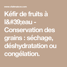 Kefir De Fruits A L 39 Eau Conservation Des Grains Sechage Deshydratation Ou Congelation Kefir Kefir De Fruit Fruits
