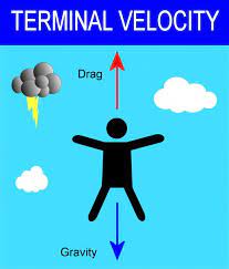 Terminal Velocity Of A Human Free Fall And Drag Force Terminal Velocity Velocity Math Humor