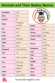 Since then, it has gone through stages of middle english and early modern english and gradually has become the first global lingua franca. 100 Animals And Their Babies Names Animals And Their Young Ones Lessons For English