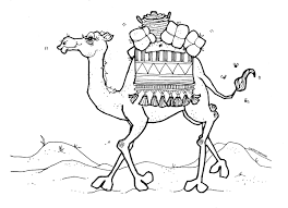 Printable coloring and activity pages are one way to keep the kids happy (or at least occupie. Drawing Dromedary 5947 Animals Printable Coloring Pages