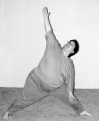 We did not find results for: Trikonasana The Triangle Pose Ananda