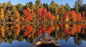 We did not find results for: Best Places To See Beautiful Fall Foliage In Ontario Over The Long Weekend Listed