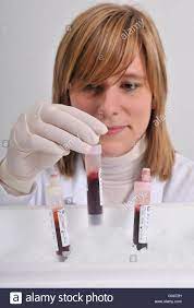 Biotechnology Laboratory Assistant Blood Cannula Vacutainer Blood Stock Photo Alamy
