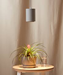 Maybe you would like to learn more about one of these? How Grow Lights Take Your Indoor Herb Garden To The Next Level Bloomscape