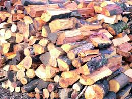 In fester feuerstelle, einem feuerkorb oder terrassenkamin), innerhalb bestimmter fristen (z.b. Holz Wird Knapp Neue Studie Immer Mehr Deutsche Verbrennen Frisches Waldholz