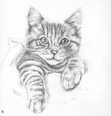 Afbeeldingsresultaat Voor Mooie Tekeningen Om Na Te Tekenen Voor Beginners Katten Tekening Dieren Tekenen Schetsen Tekenen