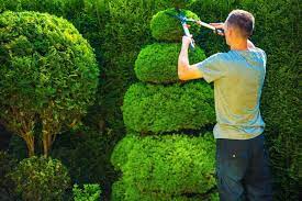 Maybe you would like to learn more about one of these? Tree Trimming Service And Cost In Albuquerque Abq Janitorial Services