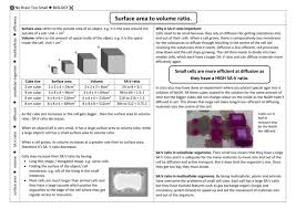 Take a sneak peak at the movies coming out this week (8/12) is 'wandavision' good? Surface Area To Volume Ratio