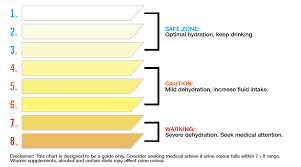 Hydration Guide Thorzt Hydrate Energise Perform