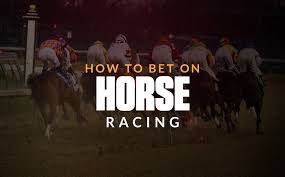 How To Bet On Horse Racing A Definitive Guide To The Basics