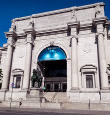 Museo De Historia Natural De Nueva York Con Cuadros Y A Lo Loco