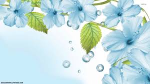 We did not find results for: Light Blue Flower Wallpaper By Sheikhsherry44 On Deviantart
