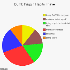 Dumb Friggin Habits I Have Dumb Dumber Pie Charts Donut