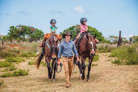 Easy to drive and easy to access , i will definitely use get pony a lot now! Pony Rides For Kids 2 To 7 Kahuku Project Expedition