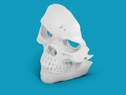 Entdecken sie unten einige kostenlose vorlagen für 3d drucker aus dem bereich haushalt! 6 Kostenlose Totenkopf 3d Druckvorlagen Die Richtig Schocken