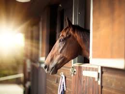 Pole barns can be built in two different ways. Horse Stable Design For Safety And Comfort