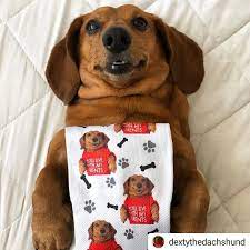 You want your order, and we're not here to waste time. Custom Dog Socks Reviews Dog Socks Custom Dog Sock Game