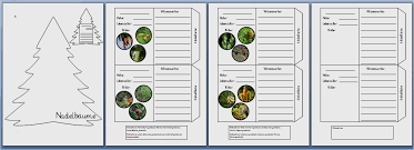 Mit lapbooks unterrichtsthemen erarbeiten und festigen betzold blog. 15 Angenehm Lapbook Vorlagen Wald Anspruchsvoll Solche Konnen Adaptieren Fur Ihre Erstaunlichen Ideen Dillyhearts Com