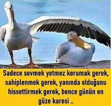 Mehmet Akpinar Adli Kullanicinin Resim Panosundaki Pin 2020 Akrostis Siirler Ilham Verici Sozler Guzel Soz