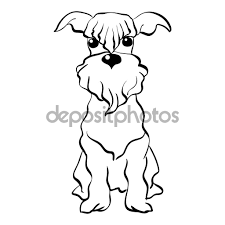 kartinki po zaprosu sidyashaya sobaka sobaki porody shnaucer sobaki risunki