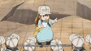 It is licensed in north america by kodansha. Platelets Quotes Cells At Work Hataraku Saibo Tumblr Dogtrainingobedienceschool Com