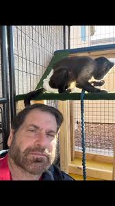 Las Vegas monkey# Sara Marie