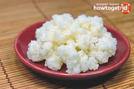 как вырастить молочный гриб с нуля в домашних условиях Kak Vyrashivat Molochnyj Grib V Domashnih Usloviyah S Nulya