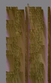 Image result for Peddiea rapaneoides