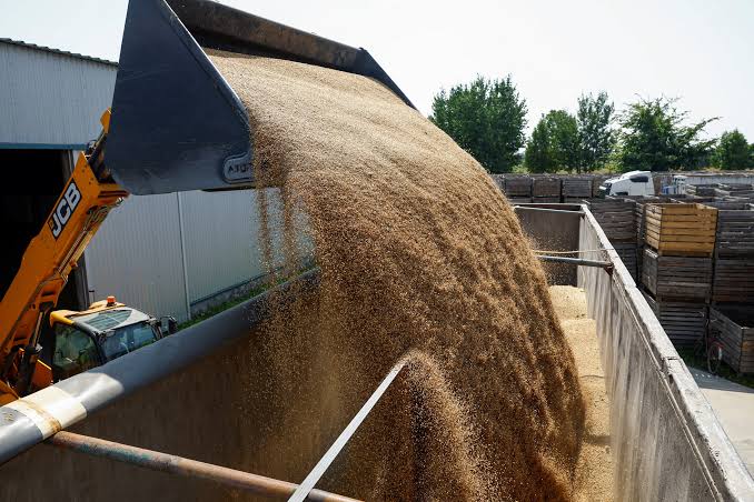 Ukraine's farmers despair as Russia's Black Sea blockade traps their harvest | Reuters
