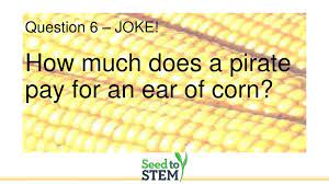 Kansas Corn Explore Corn Ppt Download