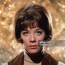 Linda Stern's Instagram, Twitter & Facebook