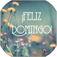 Domingo's italian deli has emerged as one of the best italian deli in los angeles since 1948. Updated Feliz Domingo Deseos De Buenos Dias App Not Working Down White Screen Black Blank Screen Loading Problems 2021