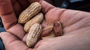 Biotin Benefits Sources And Safety