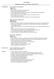 Brush up your cleaner cv by reading our cleaner cv examples, writing tips and ideas, as well as learning about cv buzzwords and action verbs you can use. Cleaning Attendant Resume Samples Velvet Jobs