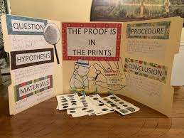 Science Fare Project This Or That Questions Hypothesis Ink Pad
