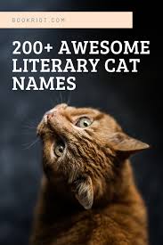 Female cat names male cat names exotic cat names cool, nerdy, funny & cute names by breed names by color caring for your cat. 200 Literary Cat Names For Naming Your New Pet Book Riot