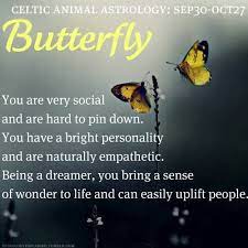 My Experiences With The Signs Zodiac Celtic Zodiac Signs Celtic Animals Celtic Astrology