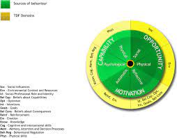 Frontiers | Teachers' Experiences Of Facilitators And Barriers To Implement  Theme-Based Cooperative Learning In A Swedish Context