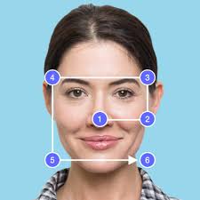 Metamason 3D Facial Scan — Alexia Yang
