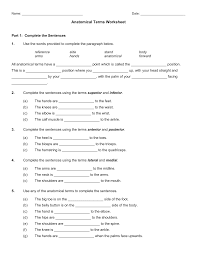 Covers anatomical position, anatomical terminology to describe body directions, planes, and surfaces. Anatomical Terms Worksheet