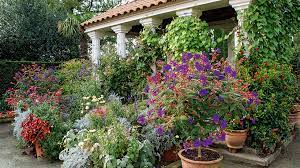 Lavendel gibt es in vielen verschiedenen farben, in violett, altrosa, rosa und auch in weiß. Pflanzen Fur Den Mediterranen Garten Schweizer Garten