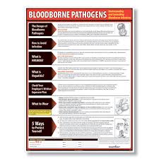 Image result for Bloodborne Pathogen Exposure