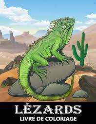 lezards livre de coloriage reptiles et cameleons pour soulager le stress se detendre zentangle enfants adultes french edition art abstract 9798705703661 amazon com books camion gratuit les tout-petits