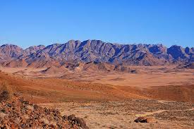 Image result for Maerua prittwitzii