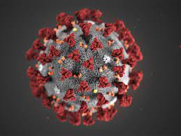 India reports new 'delta plus' coronavirus variant of concern. Delta Plus Variant What Is Delta Plus Variant Everything That You Need To Know